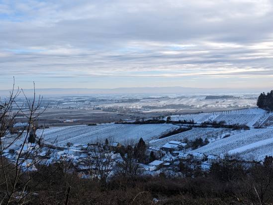 Rund um die Madenburg,
21. Januar 2024